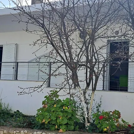 Bledar Apartamento *